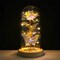 Eternal Preserved LED Rose with Butterfly in Glass Dome Décor
